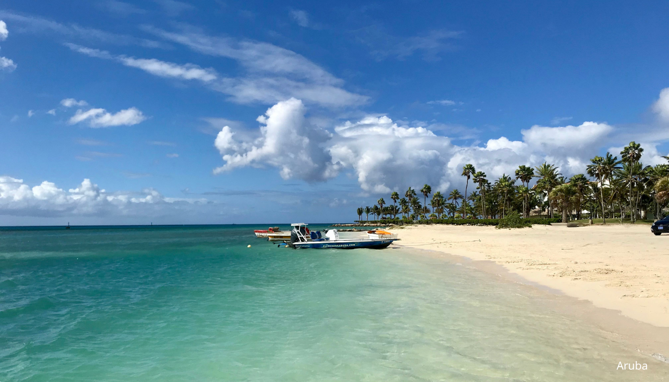 Descubre el encanto tropical de la playa de arena de Aruba con cielos claros, palmeras y barcos anclados.