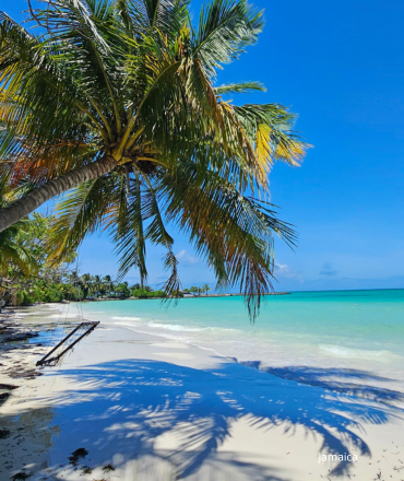 Un paisaje de playa tropical con palmeras que proyectan sombras sobre la arena blanca bajo un cielo azul brillante.
