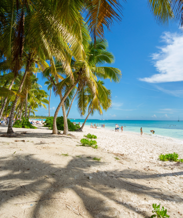 Playa tropical idílica con palmeras y cielo azul claro en Punta Cana, República Dominicana.
